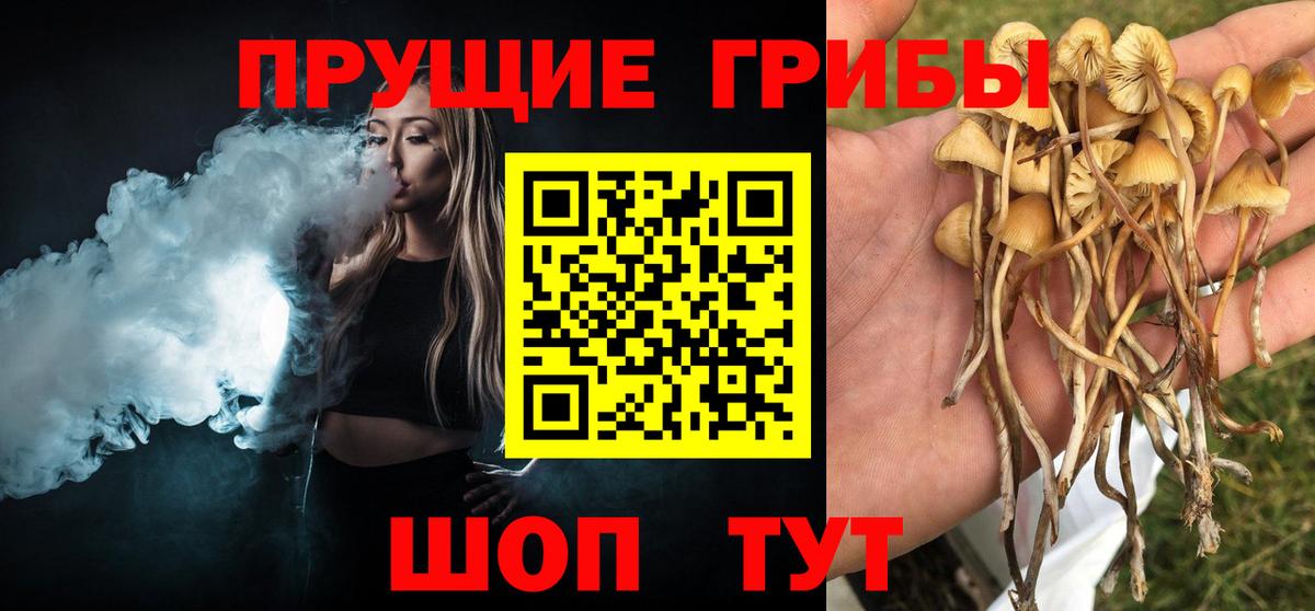 Псилоцибиновые грибы мухоморы Пенза