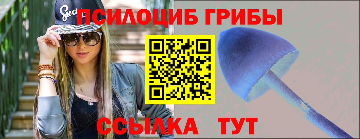 сколько стоит  Галлюциногенные грибы Cubensis  Вход с VPN  Пенза 